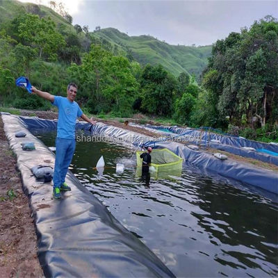 0.75 мм HDPE геомембрана водонепроницаемая мембрана для аквакультуры рыб и креветок резервуар линейки