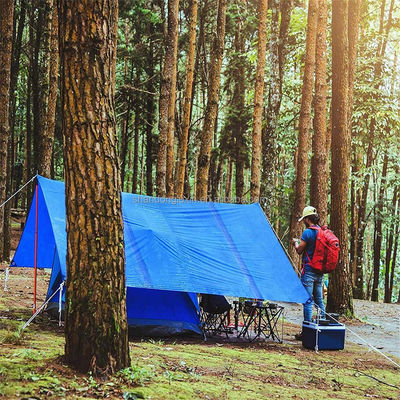 Водонепроницаемая и ультрафиолетовая защита 200GSM Muti-Color Poly Tarp PE Tarpaulin Plaid Style