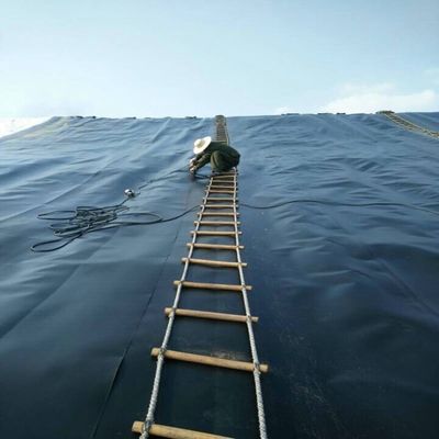 ASTM GRI-GM13 Стандартная геомембрана из 1 мм HDPE для рыбных прудов и полигонов