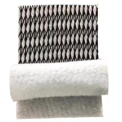 HDPE Mesh 3D Composite Drainage Composite Geo Net Geonet для устойчивого решения дренажа
