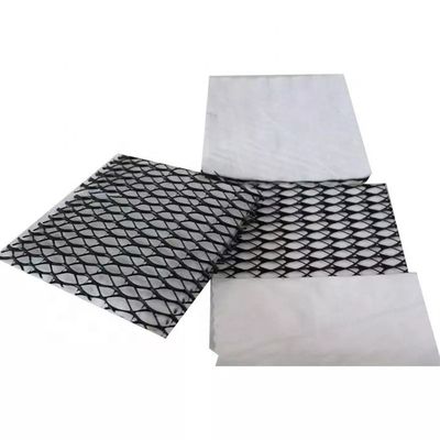 HDPE Mesh 3D Composite Drainage Composite Geo Net Geonet для устойчивого решения дренажа