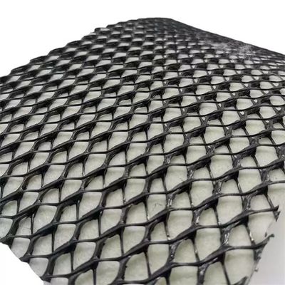 HDPE Mesh 3D Composite Drainage Composite Geo Net Geonet для устойчивого решения дренажа