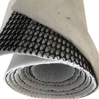 HDPE сетка 3D композит дренаж композит Geo Net Geonet черный белый для ваших нужд