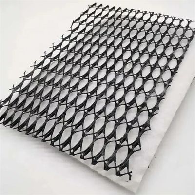 HDPE сетка 3D композит дренаж композит Geo Net Geonet черный белый для ваших нужд