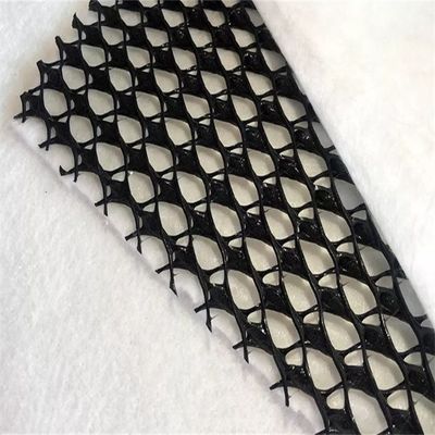 HDPE сетка 3D композит дренаж композит Geo Net Geonet черный белый для ваших нужд
