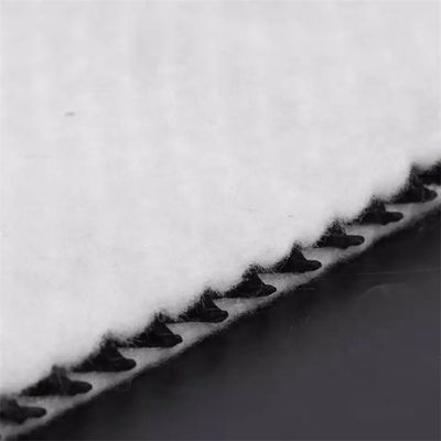 Геокомпозитный дренаж 3D геокомпозитный дренаж с сертификатом CE/ISO9001/ISO14001