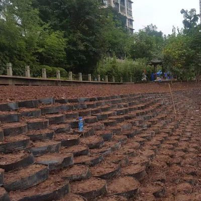 Геоклетка из текстурированного гладкого HDPE для удержания пересечения стен и промышленного дизайна