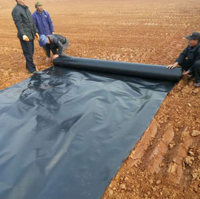 Возможности решения проекта Геомембрана из HDPE для рыбоводческих ферм
