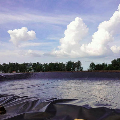 ASTM GRI-GM13 Стандартная геомембрана из HDPE для соляной фермы рыб и креветок