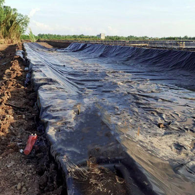 ASTM GRI-GM13 Стандартная геомембрана из HDPE для соляной фермы рыб и креветок
