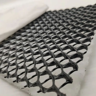 CE/ISO9001/ISO14001 Сертифицированный HDPE 3D Composite Drainage Geonet для промышленного проектирования