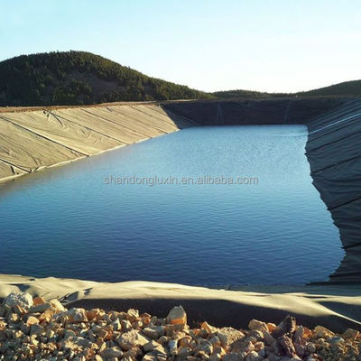 Срок службы 10 лет Черный HDPE Geomembrane Liner для выращивания креветок и соляных заводов
