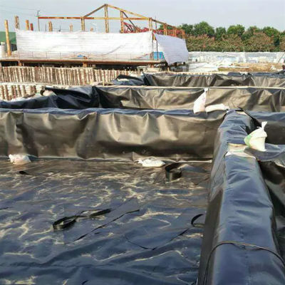 Двойная гладкая геомембрана из HDPE для рыбоводства и аквакультуры
