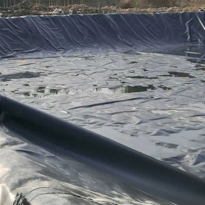 Двойная гладкая геомембрана из HDPE для рыбоводства и аквакультуры