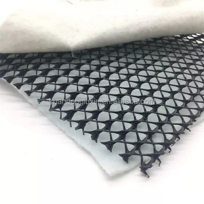 Плотность полиэтиленовая пластмасса 3d композитная дренажная сеть Geonet плотины для химической шлакозавода