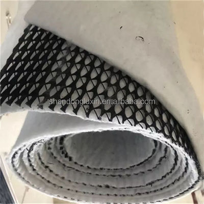 Luxin Road Base Geonet 3d Composite Drainage Net 3d Geonet с бесплатными запасными частями