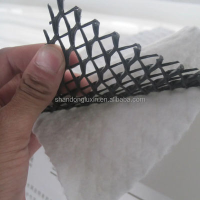 HDPE Mesh 3D Composite Drainage Composite Geo Net Geonet для резервуаров Длина 100 м
