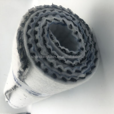 HDPE Mesh 3D Composite Drainage Composite Geo Net Geonet для резервуаров Длина 100 м