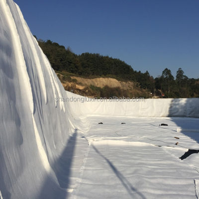 HDPE Mesh 3D Composite Drainage Composite Geo Net Geonet для резервуаров Длина 100 м