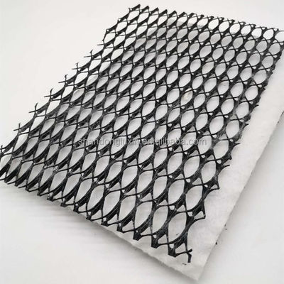 HDPE Mesh 3D Composite Drainage Composite Geo Net Geonet для резервуаров Длина 100 м