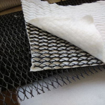 HDPE Mesh 3D Composite Drainage Composite Geo Net Geonet для резервуаров Длина 100 м
