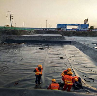 ASTM GM13 Стандартная геомембранная подкладка HDPE 0,3 мм 0,5 мм 0,75 мм 1 мм для рынков стран