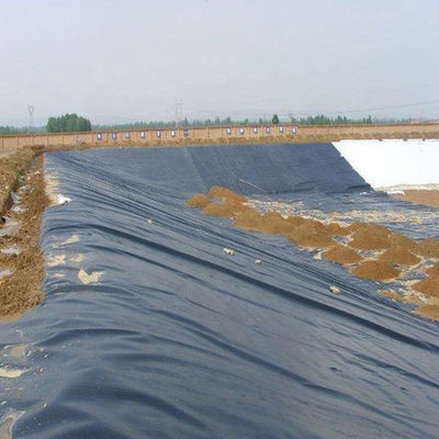 ASTM GM13 Стандартная геомембранная подкладка HDPE 0,3 мм 0,5 мм 0,75 мм 1 мм для рынков стран