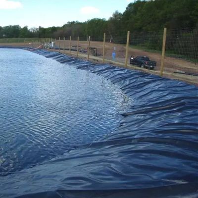Геомембраны 1 мм 2 мм водонепроницаемая резервуар плотины облицовка бассейн бассейн рыба пруд ферма линейка HDPE