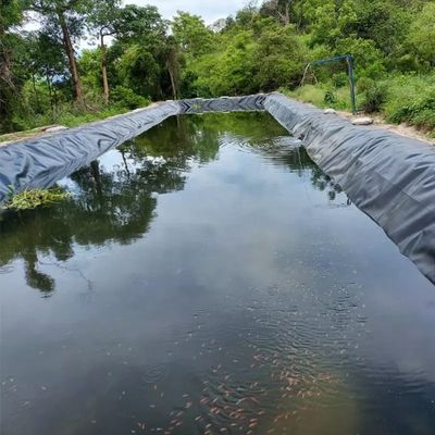 Образец предоставленная геомембрана из HDPE для озерного резервуара плотины облицовка плотины бассейна бассейна рыбной фермы
