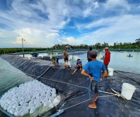 Образец предоставленная геомембрана из HDPE для озерного резервуара плотины облицовка плотины бассейна бассейна рыбной фермы