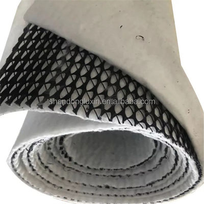 Черная белая трехмерная композитная дренажная сеть Geonet Hdpe 5 мм дренажная прокладка Нетканая ткань