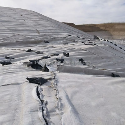 HDPE 3D соляной барьер дренажа Geonet геокомпозитная сетка для свалки дорог садового дренажа