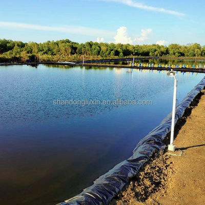 ASTM GRI-GM13 Стандартная HDPE-линейка для рыбных водоемов и ферм. Толщина 0,3 мм - 1 мм