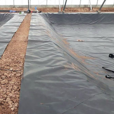 Рыбная ферма водоемы Лайнер HDPE геомембрана в черном белом синем или зеленом длиной 50-200 м