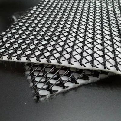 Функция водоотведения Черно-белая 5 мм HDPE композитная дренажная сеть для свалок