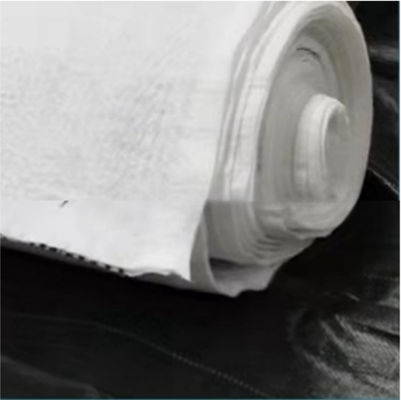 Функция водоотведения Черно-белая 5 мм HDPE композитная дренажная сеть для свалок