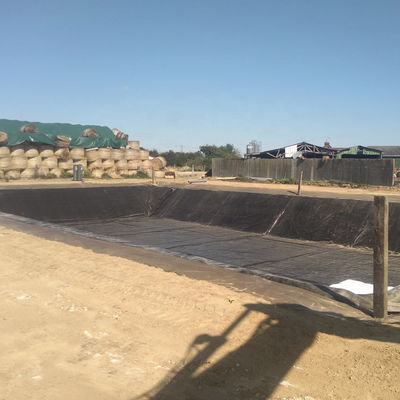 Глянцевая или текстурированная поверхность HDPE геомембрана для пруда для проекта плотины в Южной Африке