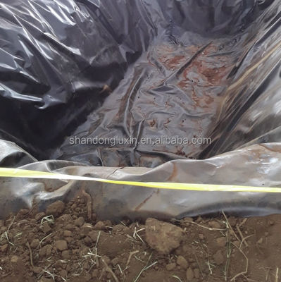 Двойной гладкий HDPE гидроизоляционный пластиковый геомембранный лист для аквакультуры