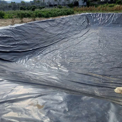 Двойной гладкий HDPE гидроизоляционный пластиковый геомембранный лист для аквакультуры