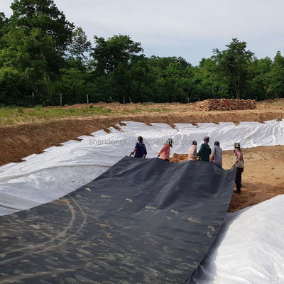 1 мм 1,5 мм 2 мм HDPE Geomembrane сварочная машина предназначена для аквакультуры потребностей сельского хозяйства