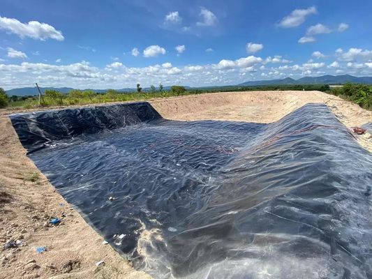 500 микрон Плотина плотины Цены HDPE Геомембрана водонепроницаемая для рыбоводства