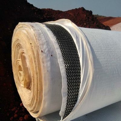 Функция водоотведения 6 мм толстый пластиковый дренаж Geonet в середине композитного Geonet