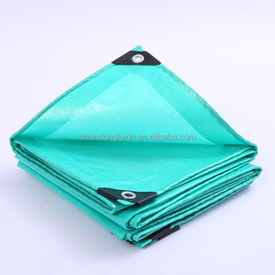 PE-покрытый HDPE тканевый LDPE-ламинированный брезентный ткань для различных применений