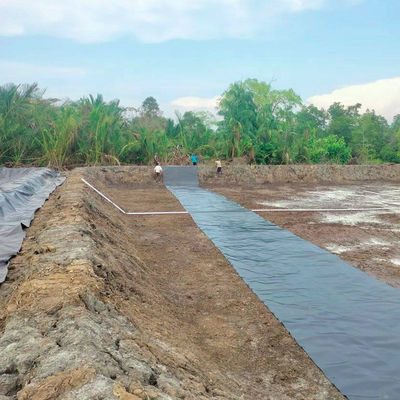 HDPE Геомембрана Геомембрана плотина Рыбная ферма Танк пруд линейка с толщиной 0,2 мм-3 мм