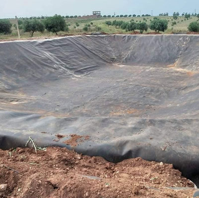 Обе стороны гладкие/текстурированные HDPE Geomembrane Liner для пруда рыбной фермы 0,5 мм 1,0 мм 1,2 мм 2 мм