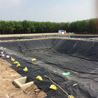 Геомембрана из HDPE для водоемов рыбоводческих хозяйств 0,5 мм 1,0 мм 1,2 мм 2 мм и инспекции на месте