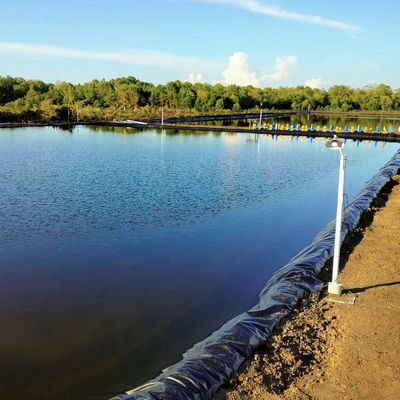 0.3mm-3.0mm Толщина HDPE геомембрана для дамбы Линера резервуара Добыча креветок фермы пруд