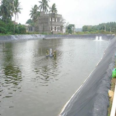 500 микрон 0,5 мм толщины рыбный пруд линнер HDPE геомембрана для водонепроницаемости пруда
