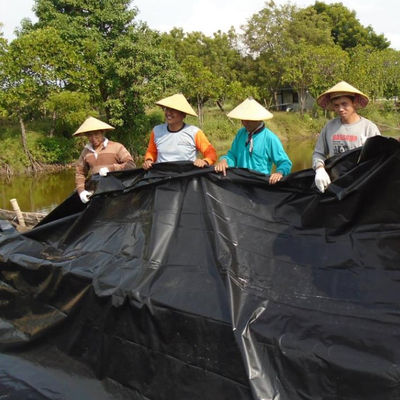 Проекты общего решения 0,5 мм HDPE гладкая текстура черная геомембрана рыбная ферма пруд линнер