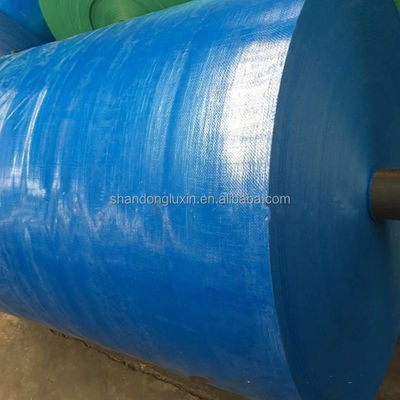 20x30 30x50 40x60 Тяжелое пластмассовое ПЭ Плотное платно Плотное платно водонепроницаемое Плотное платно
